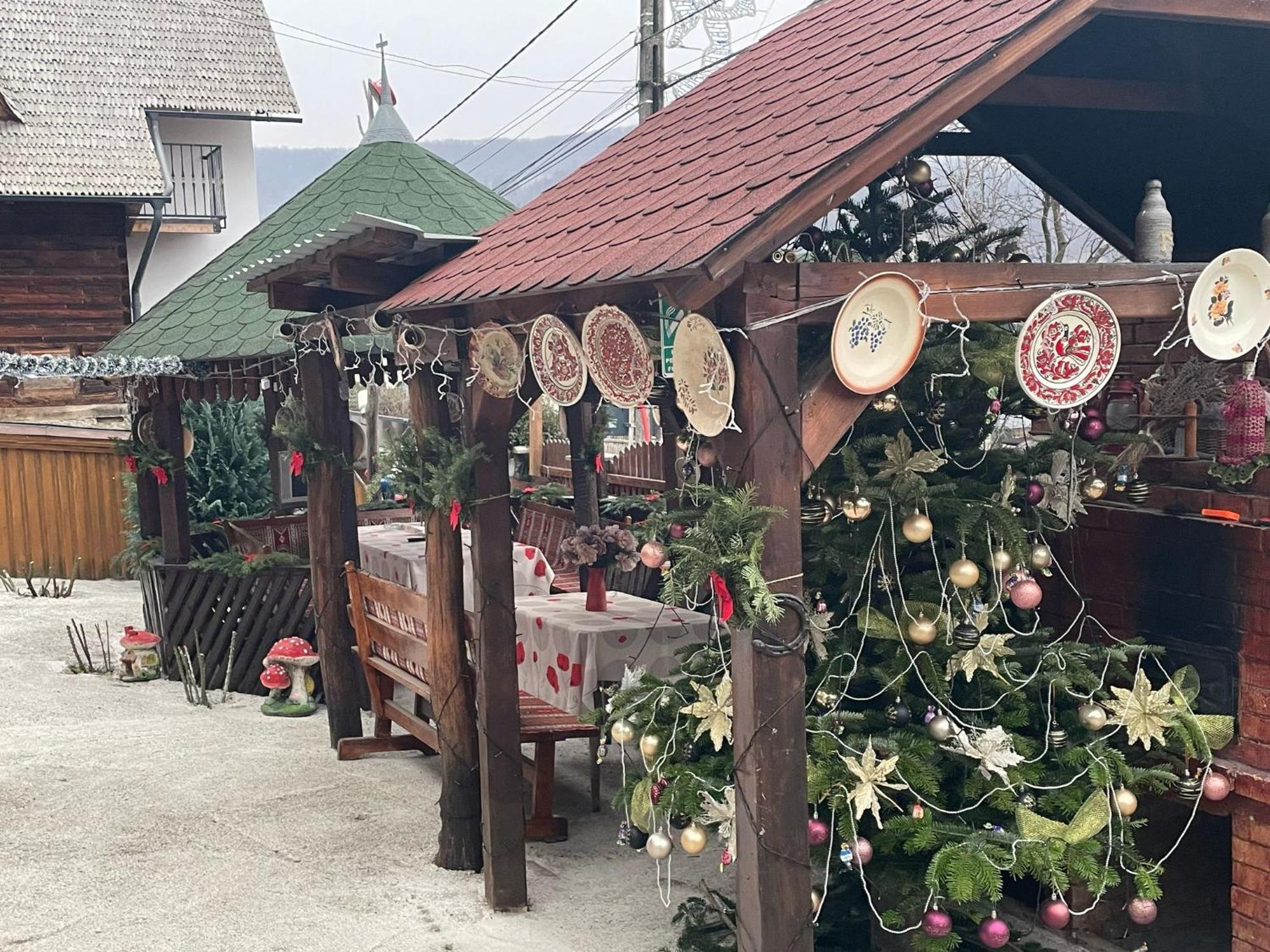 Casa Ionela Petreus Hotel Poienile Izei Buitenkant foto