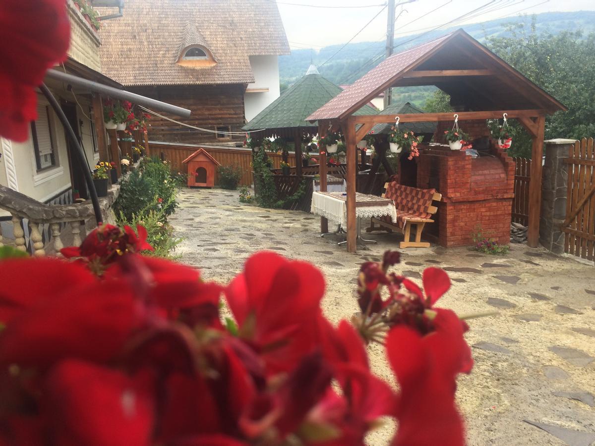 Casa Ionela Petreus Hotel Poienile Izei Buitenkant foto