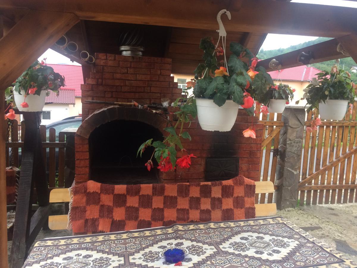 Casa Ionela Petreus Hotel Poienile Izei Buitenkant foto